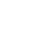 ringer-icon