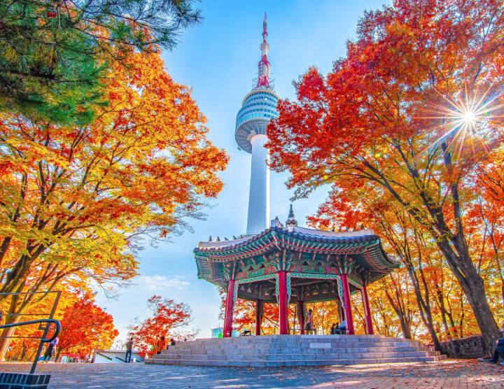 HÀ NỘI - BUSAN - GYEONGJU - SEOUL ( TOUR NO SHOPPING )