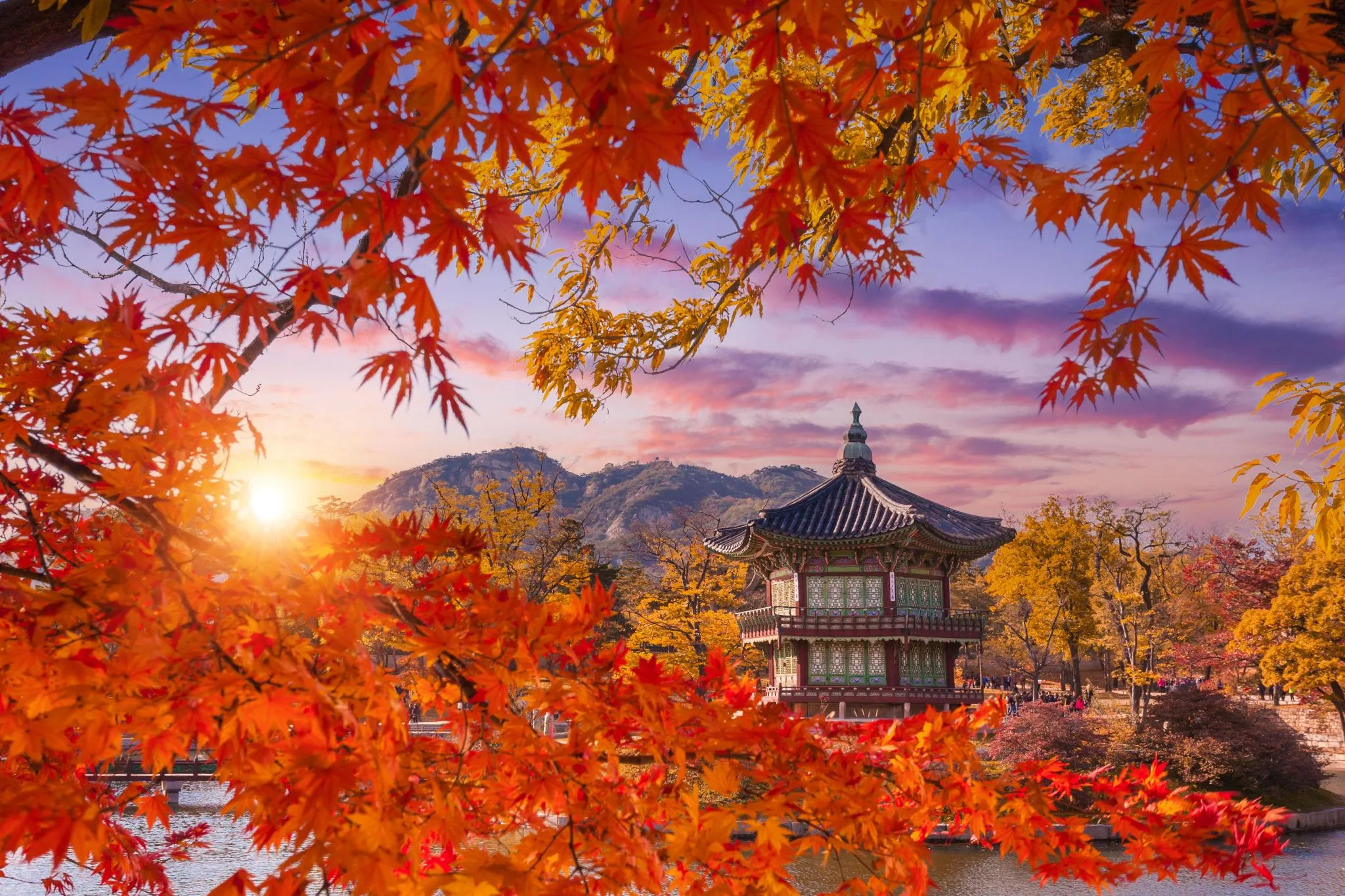 KHÁM PHÁ MÙA THU HÀN QUỐC BUSAN - GYEONGJU - SEOUL - SUWON